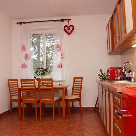 Luxusní Apartmán Family NMNM Nove Mesto na Morave Kültér fotó
