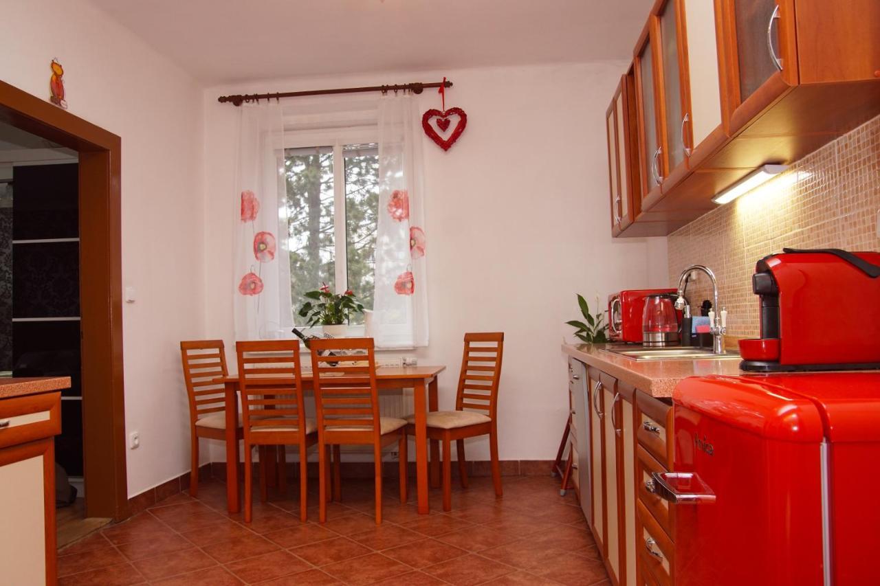 Luxusní Apartmán Family NMNM Nove Mesto na Morave Kültér fotó