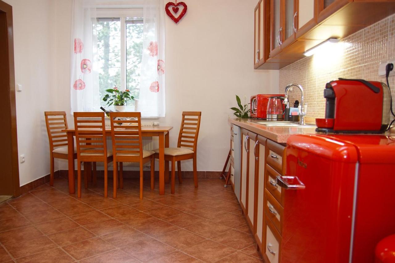 Luxusní Apartmán Family NMNM Nove Mesto na Morave Kültér fotó
